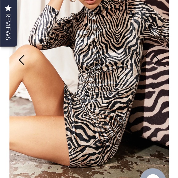 Runaway the label AXEL MINI DRESS - ZEBRA - Picture 3 of 4